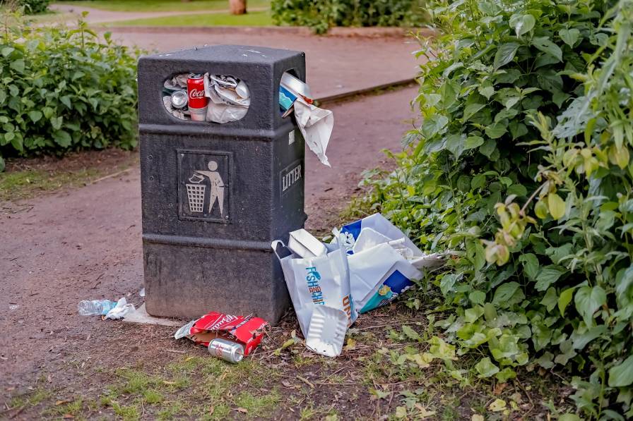 Newcastle Beauty Spots Drown in Litter Over Easter Weekend