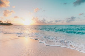 Sustainable Living A Day at the Beach