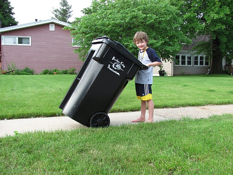 Why Wheelie Bins May Turn Into Superbins
