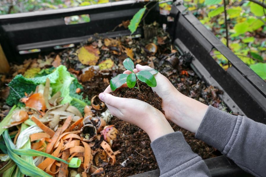 Why is Composting Important