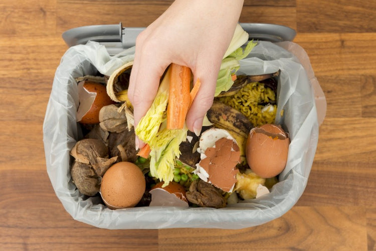Food Waste Caddies come to Devon