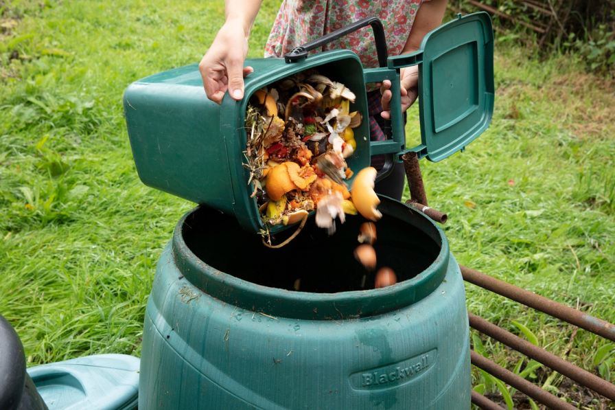 Lewisham Introduces Food Waste Collections