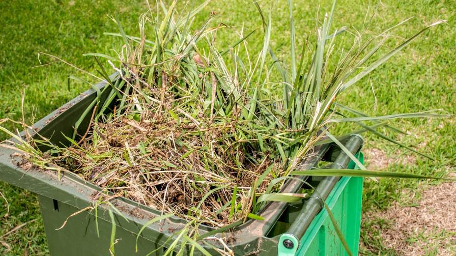 Highland Council Remove Unwanted Bins