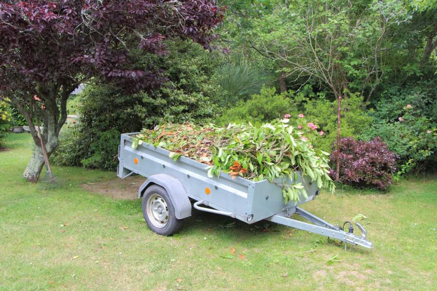 Isle of Wight Council Launches Garden Waste Collection