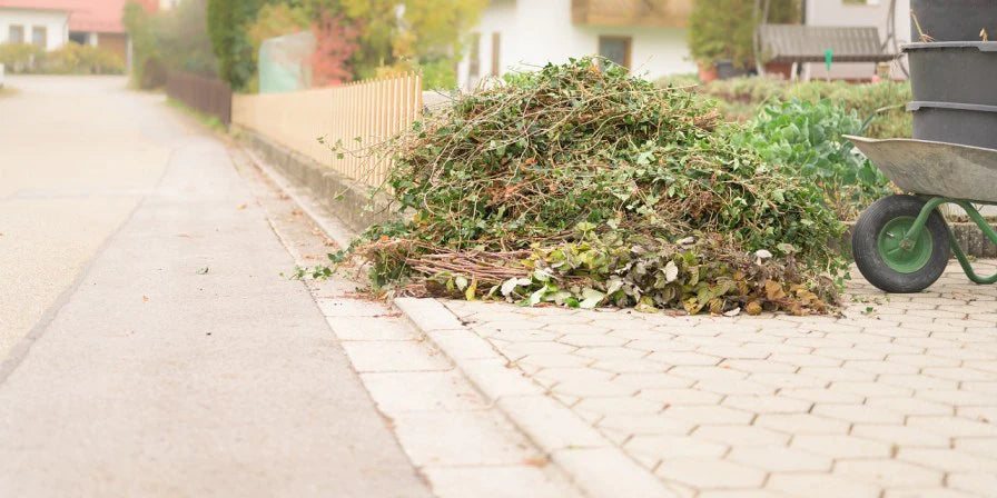 Midlothian Council Considers Smaller Bins to Catch Garden Waste Dumpers