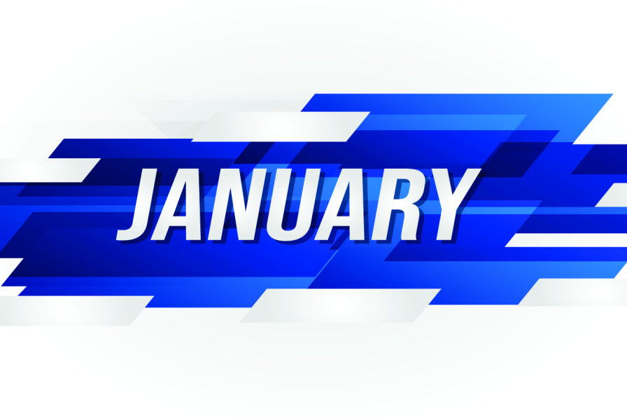 The Month in Wheelie Bin Headlines January