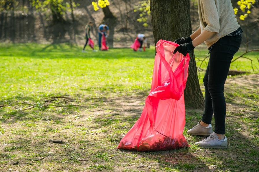 Organising a Litter-Picking Event