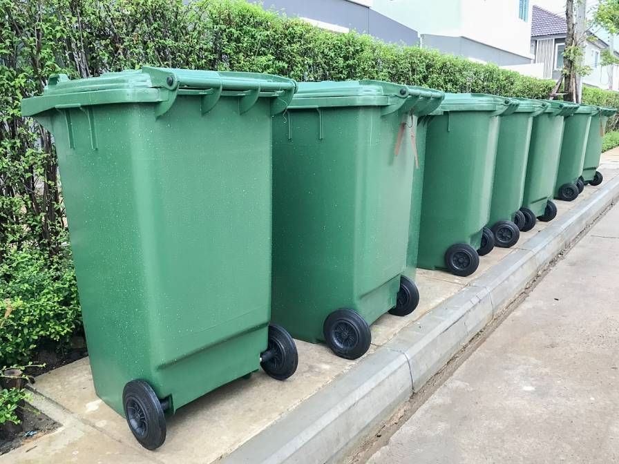 Everything You Wanted to Know About Wheelie Bins