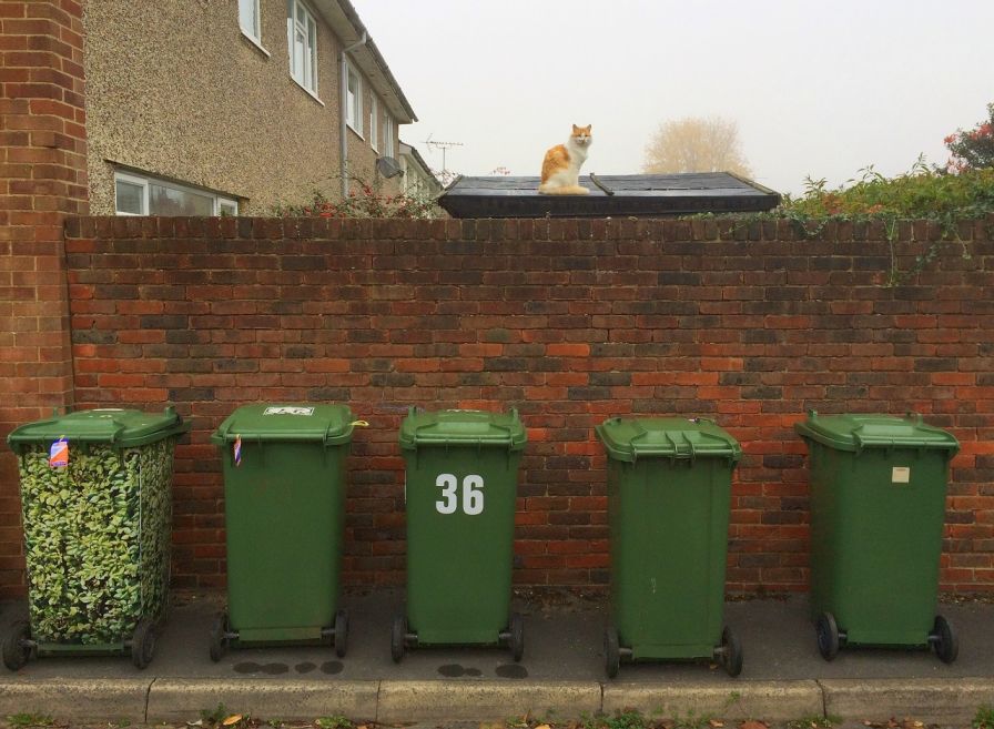 3 Reasons Why You Should Use Wheelie Bins For Your Business