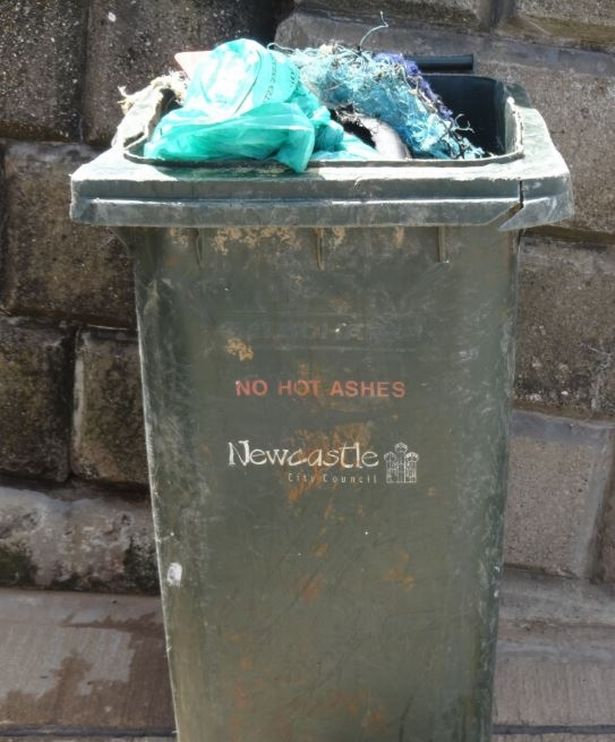 https://www.wheeliebins.co.uk/cdn/shop/articles/newcastle_bin.jpg?v=1677288251